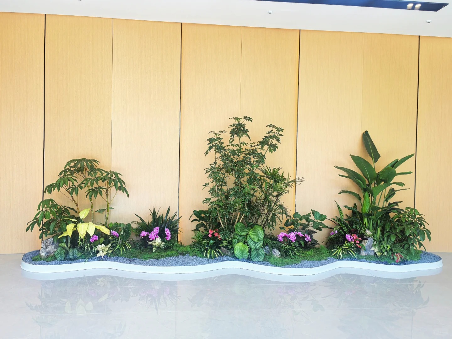 专业花木出租，为宁波添一抹绿意